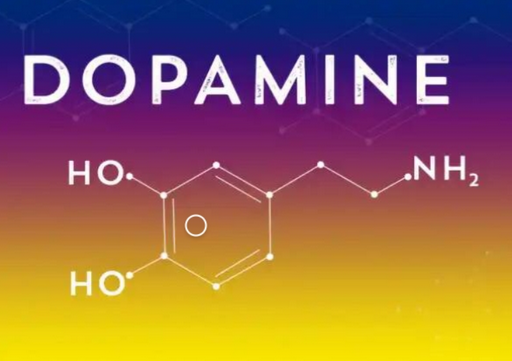 [Ирина Баранова, Татьяна Смольянинова] [Первая шко_0.png